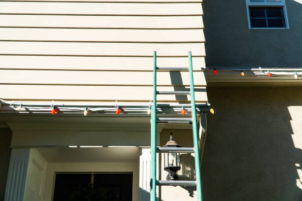 Best Siding Removal and Disposal  in Willmsburg, IA